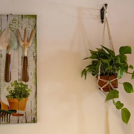 Casa Ro Cori, 10 Minuti A Piedi Dalla Cattedrale *